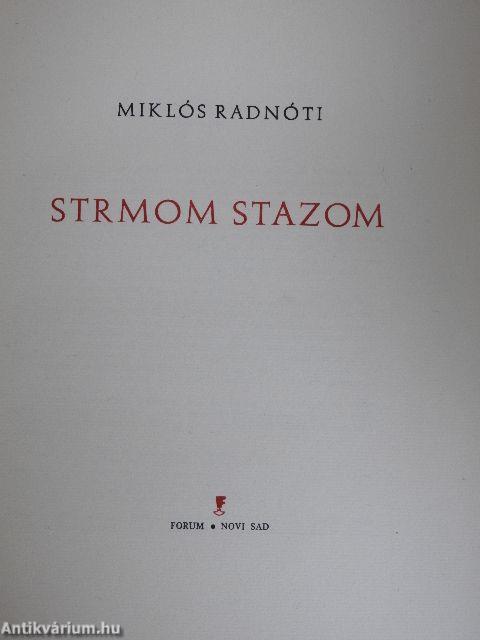 Strmom stazom