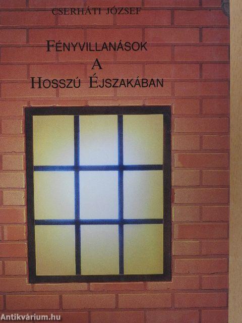 Fényvillanások a hosszú éjszakában