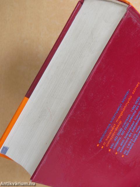 Spanyol-magyar kéziszótár