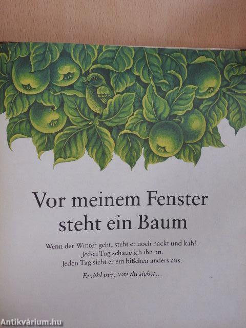 Vor meinem Fenster steht ein Baum