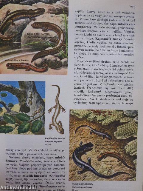 Svet Zivocisnej Rise