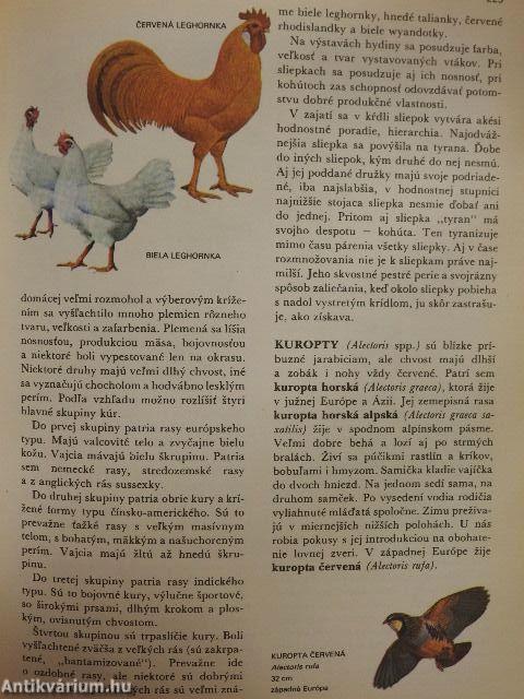 Svet Zivocisnej Rise