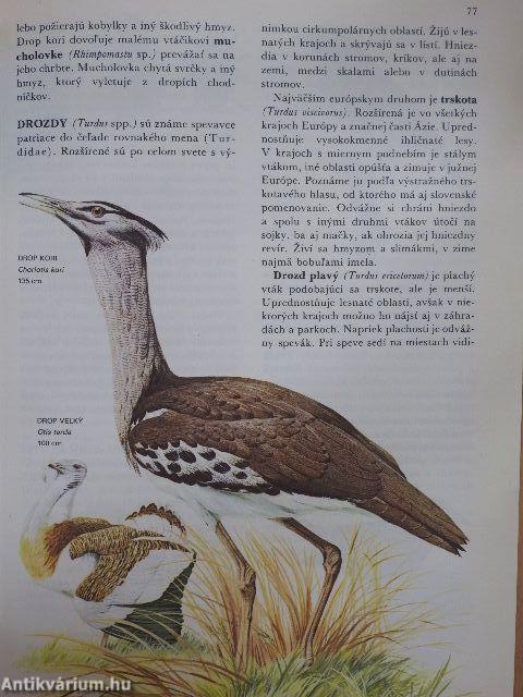 Svet Zivocisnej Rise