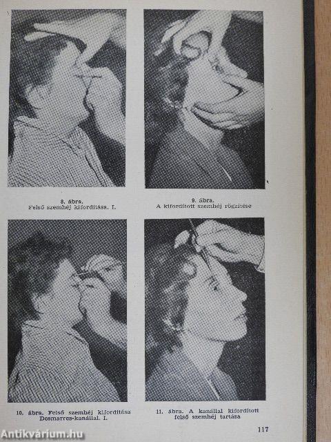 Bőrgyógyászat, szemészet, fül-, orr-, gégegyógyászat