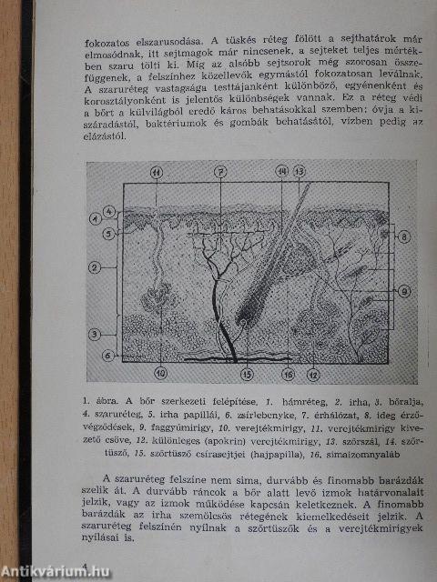 Bőrgyógyászat, szemészet, fül-, orr-, gégegyógyászat