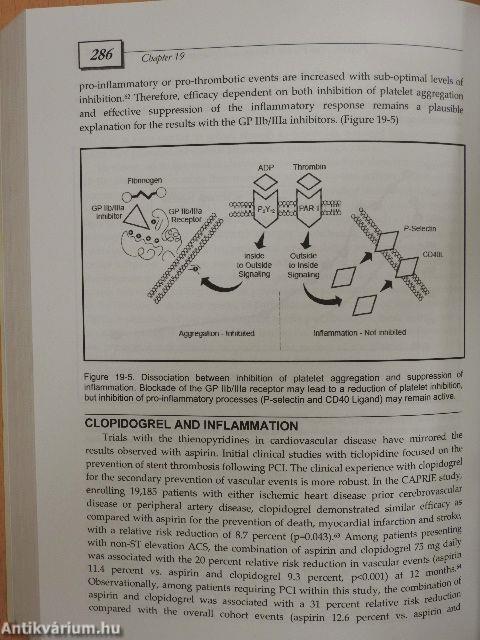 C-Reactive Protein and Cardiovascular Disease