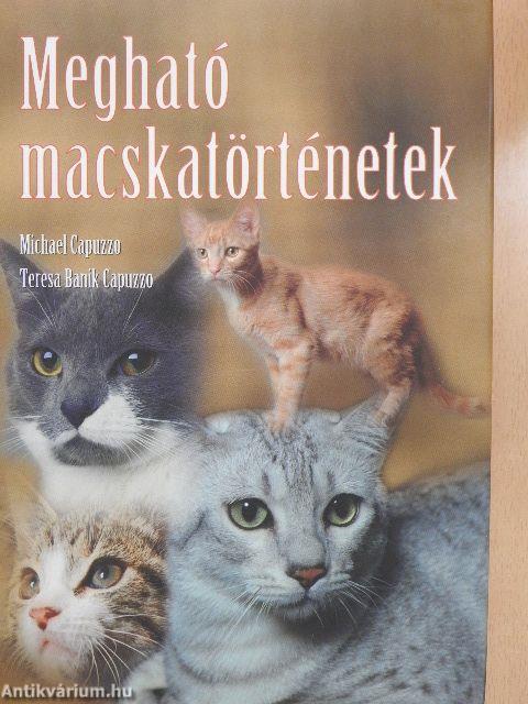 Megható macskatörténetek