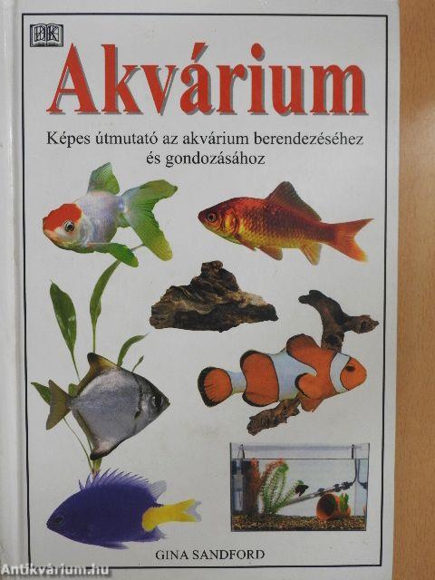 Akvárium