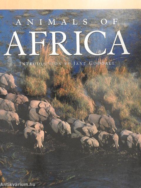 Animals of Africa