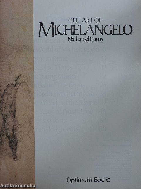 The Art of Michelangelo