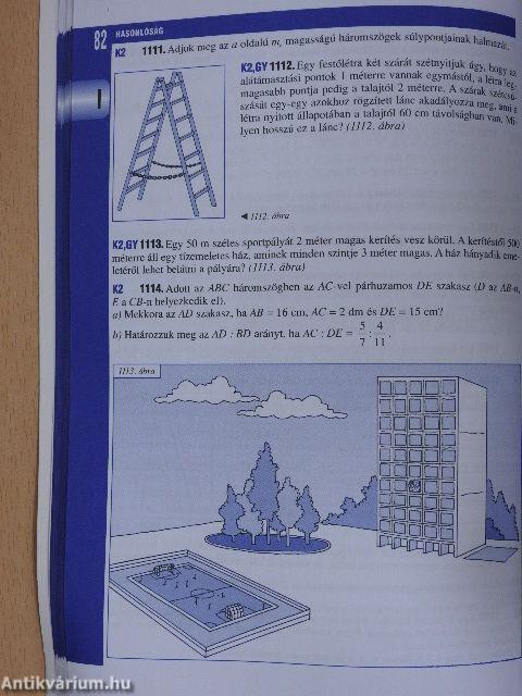 Matematika - Gyakorló és érettségire felkészítő feladatgyűjtemény III. - CD-vel