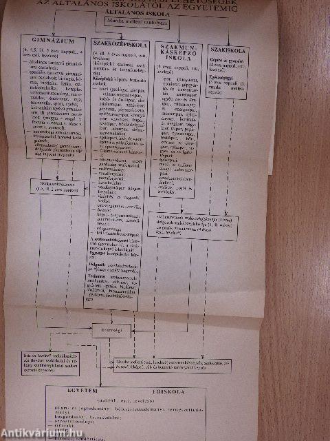 Fővárosi pályaválasztási tanácsadó 1991