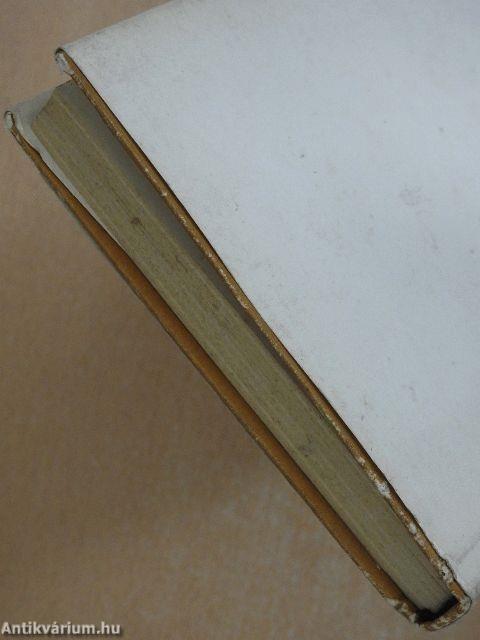 Két ember a sztyeppen