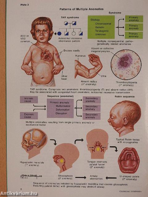 Clinical Symposia 2/1990