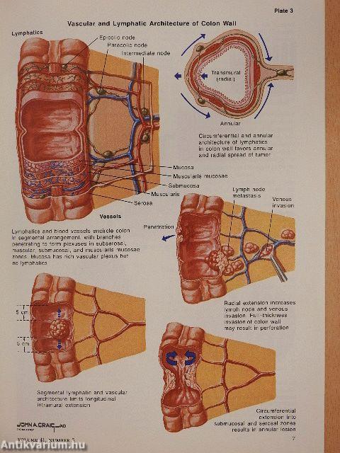 Clinical Symposia 5/1989