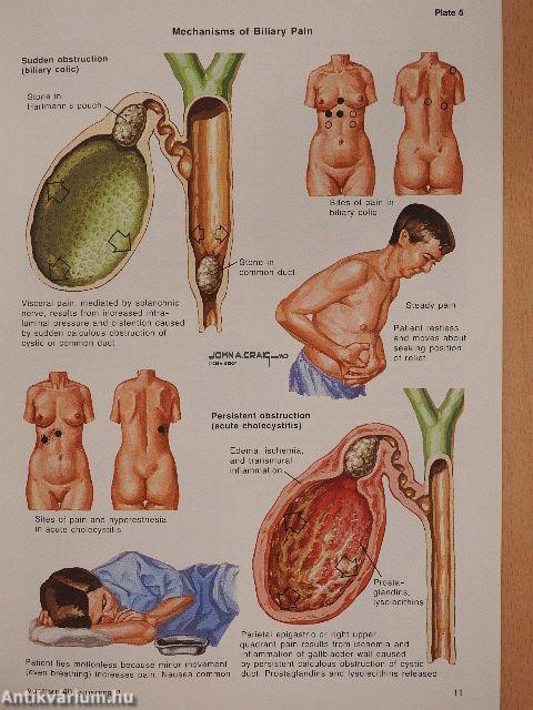 Clinical Symposia 2/1988