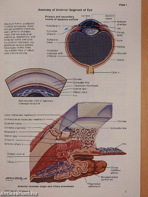 Clinical Symposia 4/1991