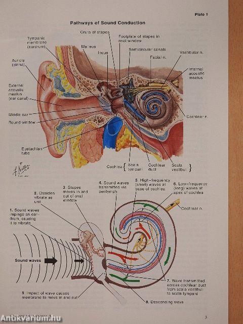 Clinical Symposia 3/1992