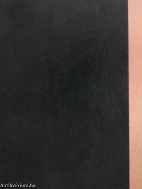 Magyar-angol kéziszótár