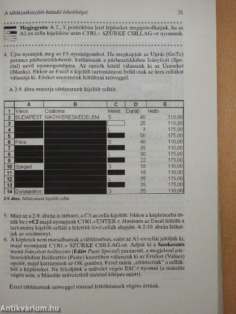 Excel for Windows 95