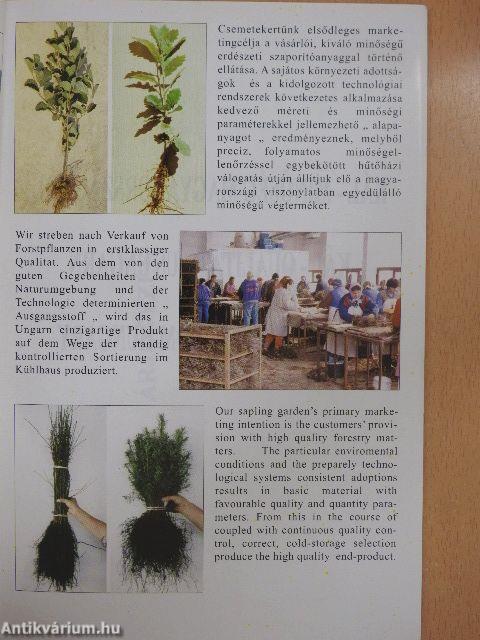 Káli Csemetekert árjegyzék 1998/99.