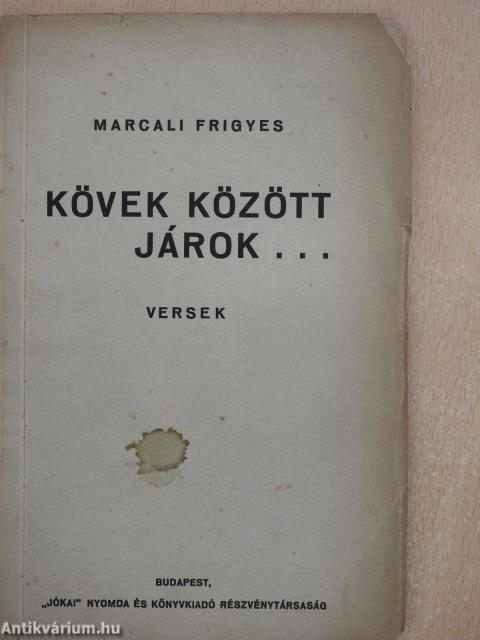 Kövek között járok... (dedikált példány)