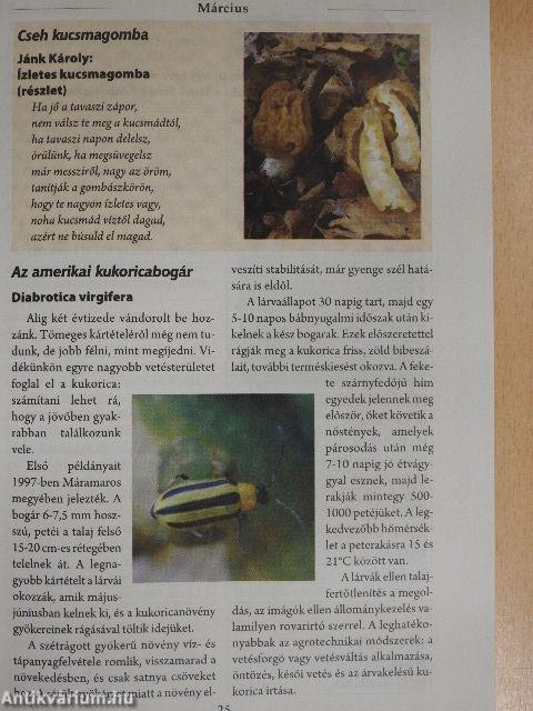 Székely Kalendárium 2020