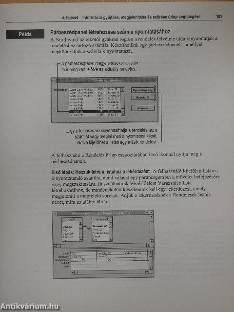 Alkalmazásfejlesztés - Microsoft Access 2.0-s verzió
