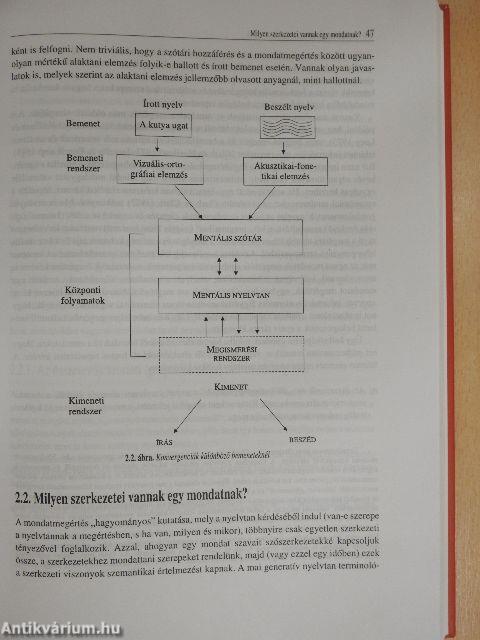 A mondatmegértés a magyar nyelvben