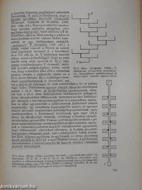 Kísérleti pszichológia