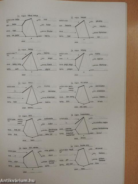 Őstörténetünkről korszerűen avagy töprengések a hazáról