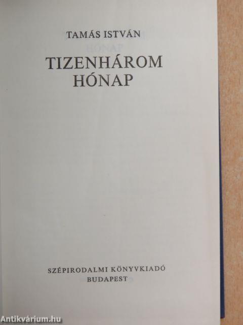 Tizenhárom hónap