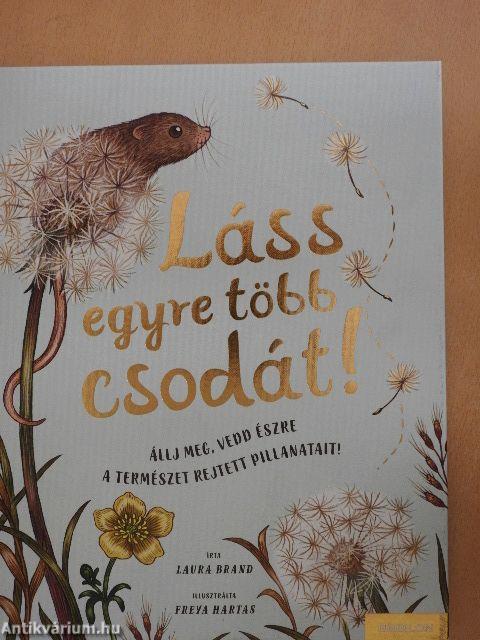 Láss egyre több csodát!