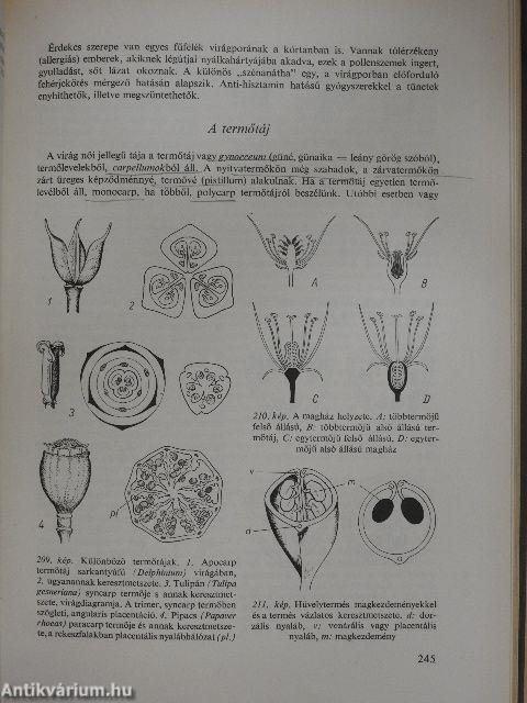 Növénytan 1-2.