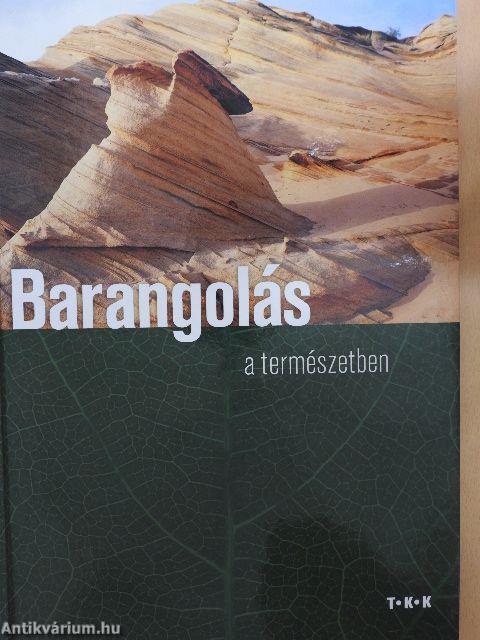 Barangolás a természetben