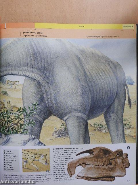 Evolúció
