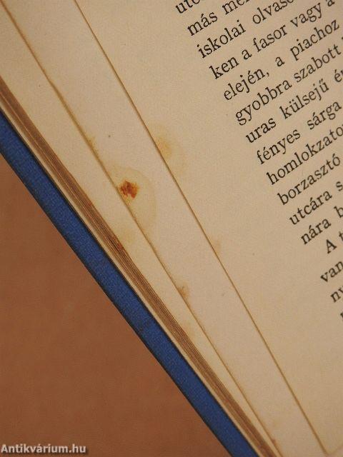 Kerek Ferkó/A cigány malaca