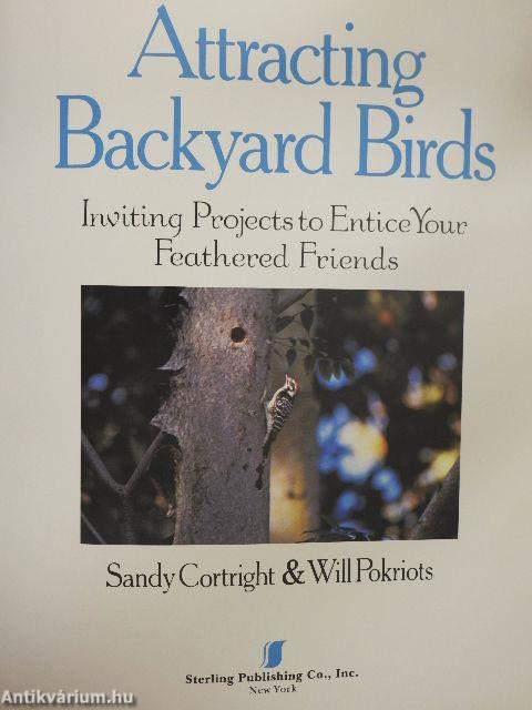 Attracting Backyard Birds