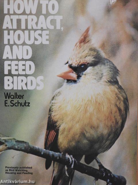 How to attract, house and feed birds