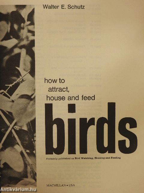 How to attract, house and feed birds