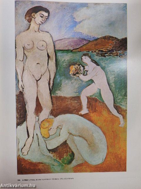 Matisse művészete 1904-1928