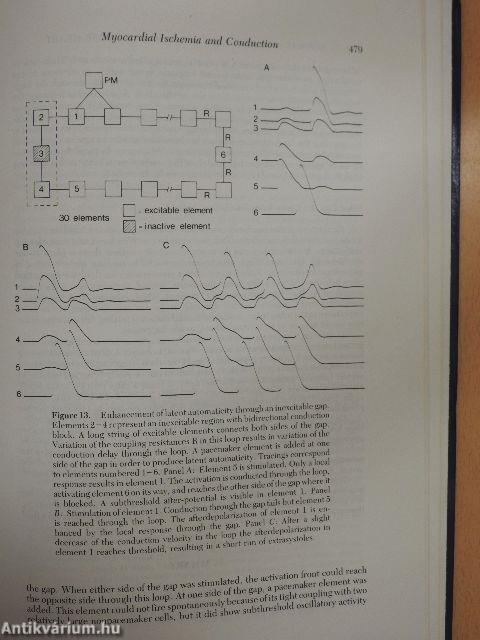 Normal and Abnormal Conduction in the Heart