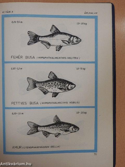 Vízminőségi figyelők kézikönyve