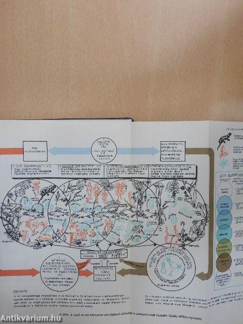 Vízminőségi figyelők kézikönyve