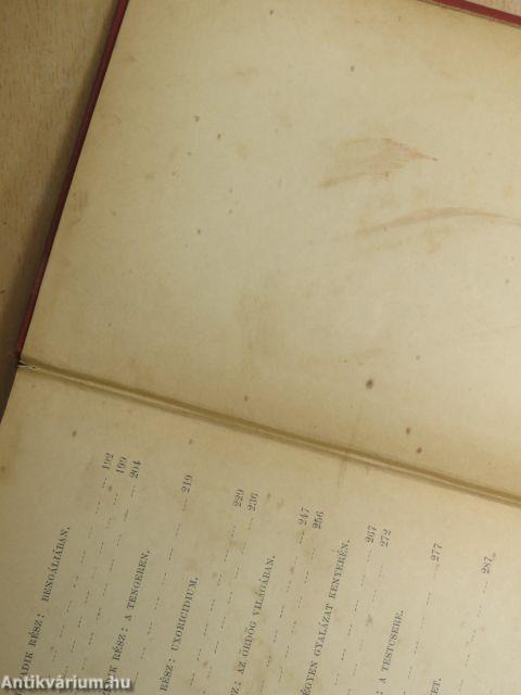 Egy hirhedett kalandor a tizenhetedik századból