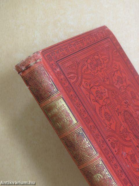 Egész az északi polusig!/A ki a szivét a homlokán hordja