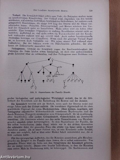 Handbuch der Inneren Medizin IV.1.