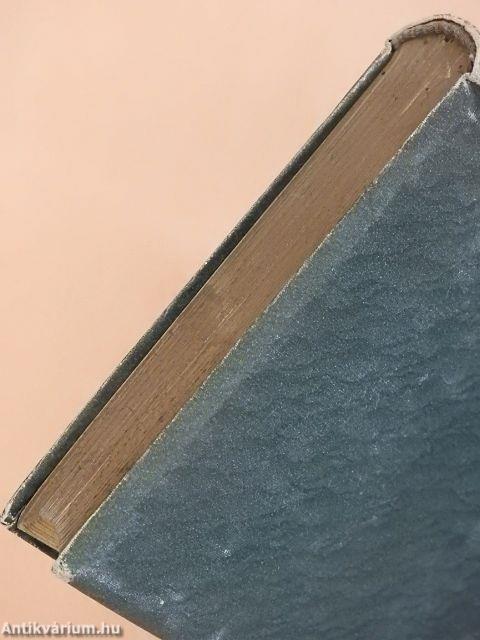 Csataképek a magyar szabadságharczból I-II.