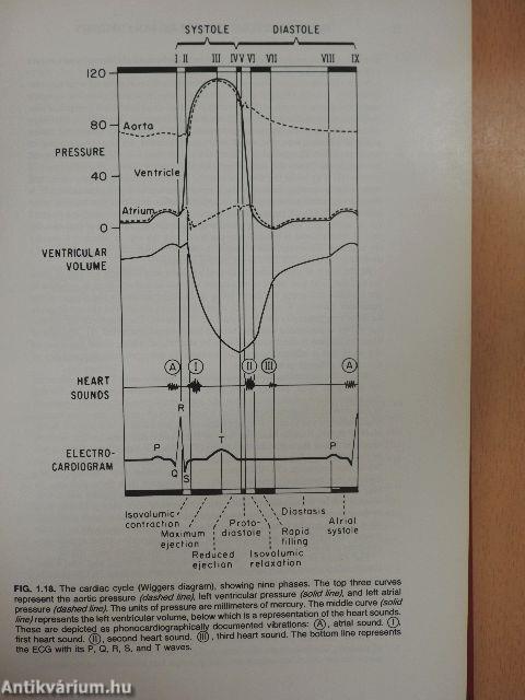 Physiology of the Heart