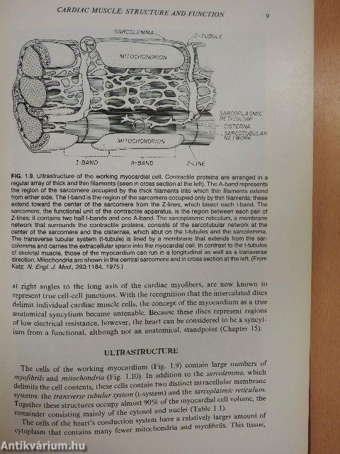 Physiology of the Heart